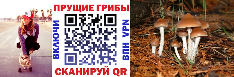 Галлюциногенные грибы мухоморы  Туапсе 