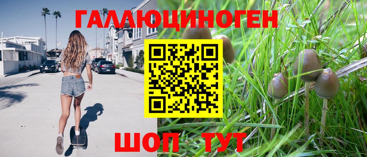 Галлюциногенные грибы прущие грибы  хочу   Туапсе  Псилоцибиновые грибы GOLDEN TEACHER  Вход с VPN 