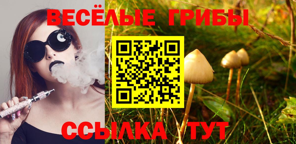 Галлюциногенные грибы Psilocybine cubensis Туапсе