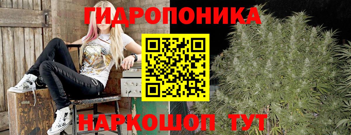 Бошки марихуана MAZAR  Каннабис AK-47  Вход с VPN  Бошки марихуана OG Kush  Туапсе  Конопля индика 